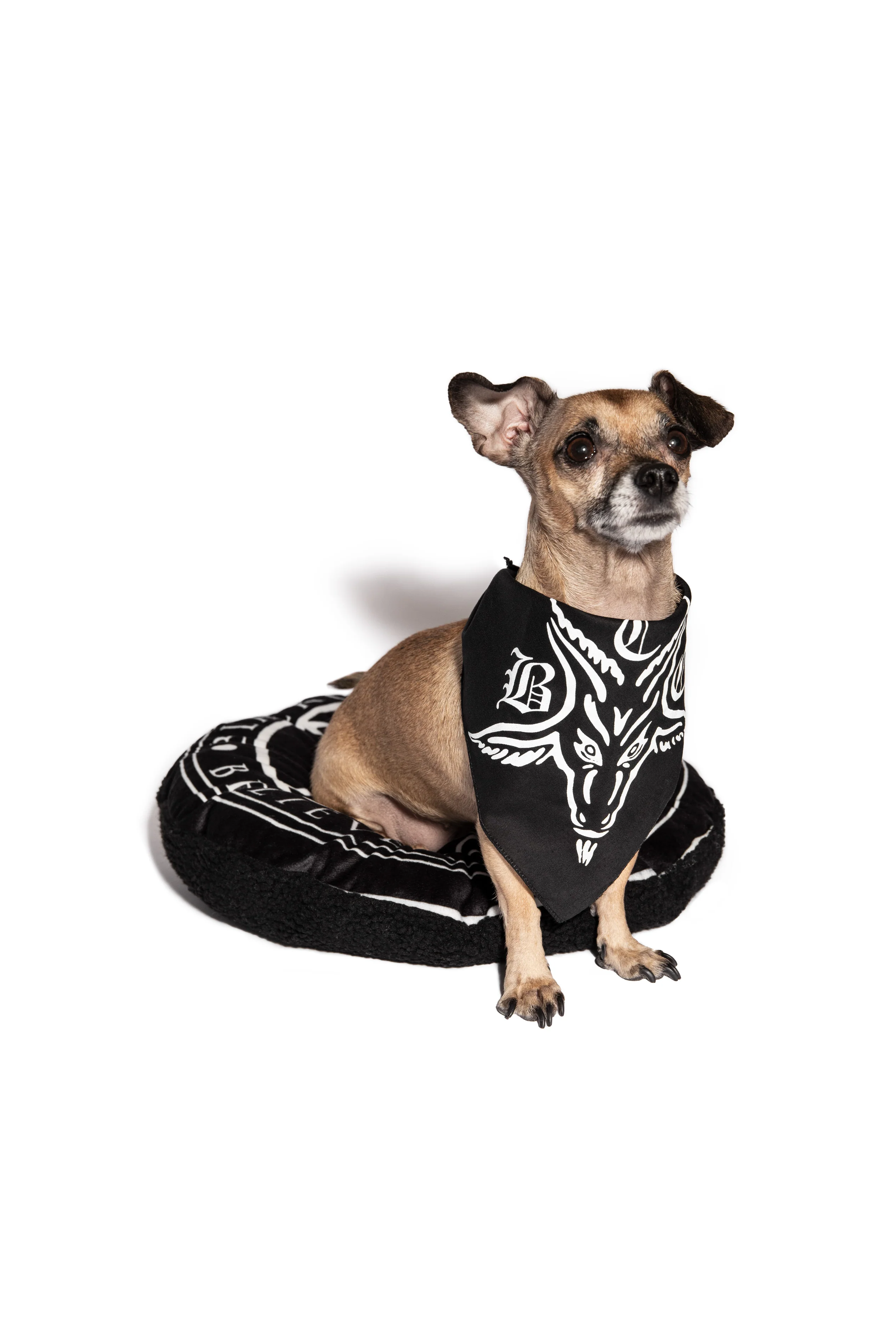 BCC Goat Pet Bandana