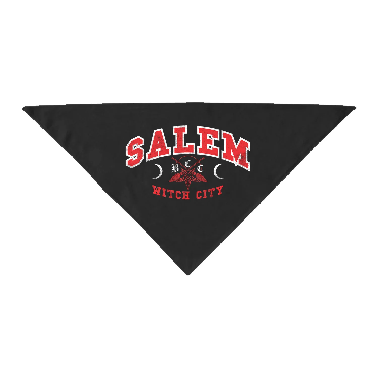 Salem College Pet Bandana